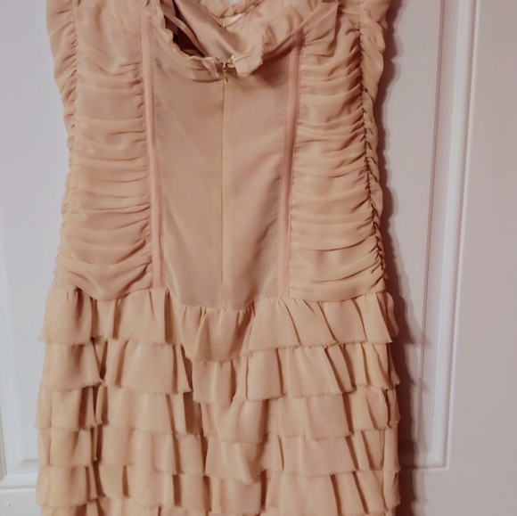 Arden B. Ruffled Mini Dress in Blush - Picture 4 of 5